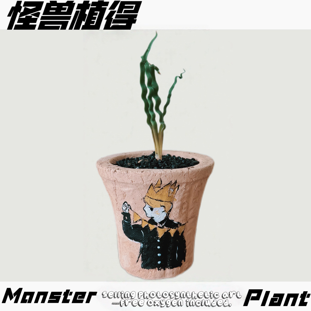 【Monster绿植】成品