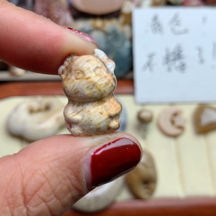 硅化珊瑚（珊瑚玉）颈饰未镶嵌