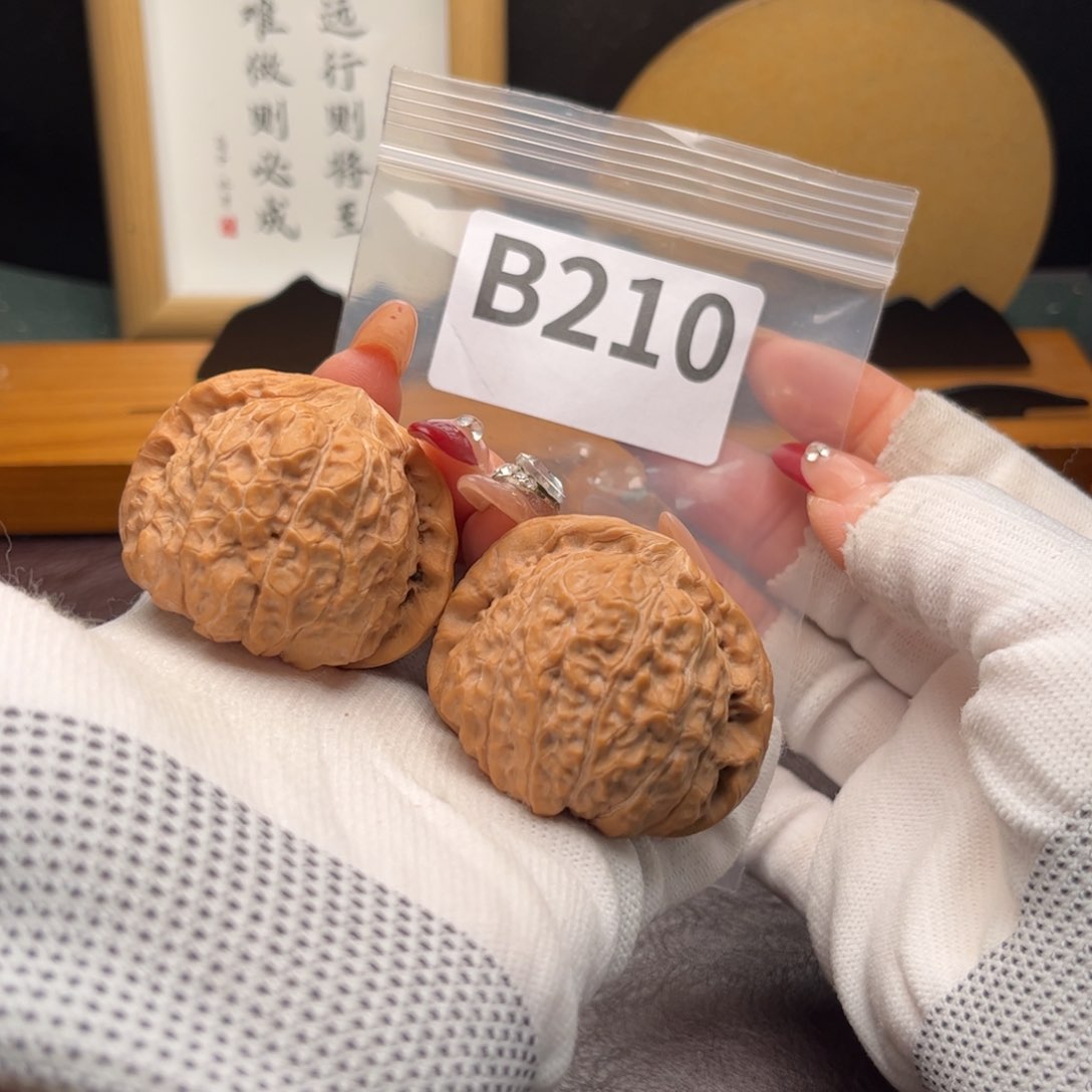 文玩核桃把件45南瓜墩b 210