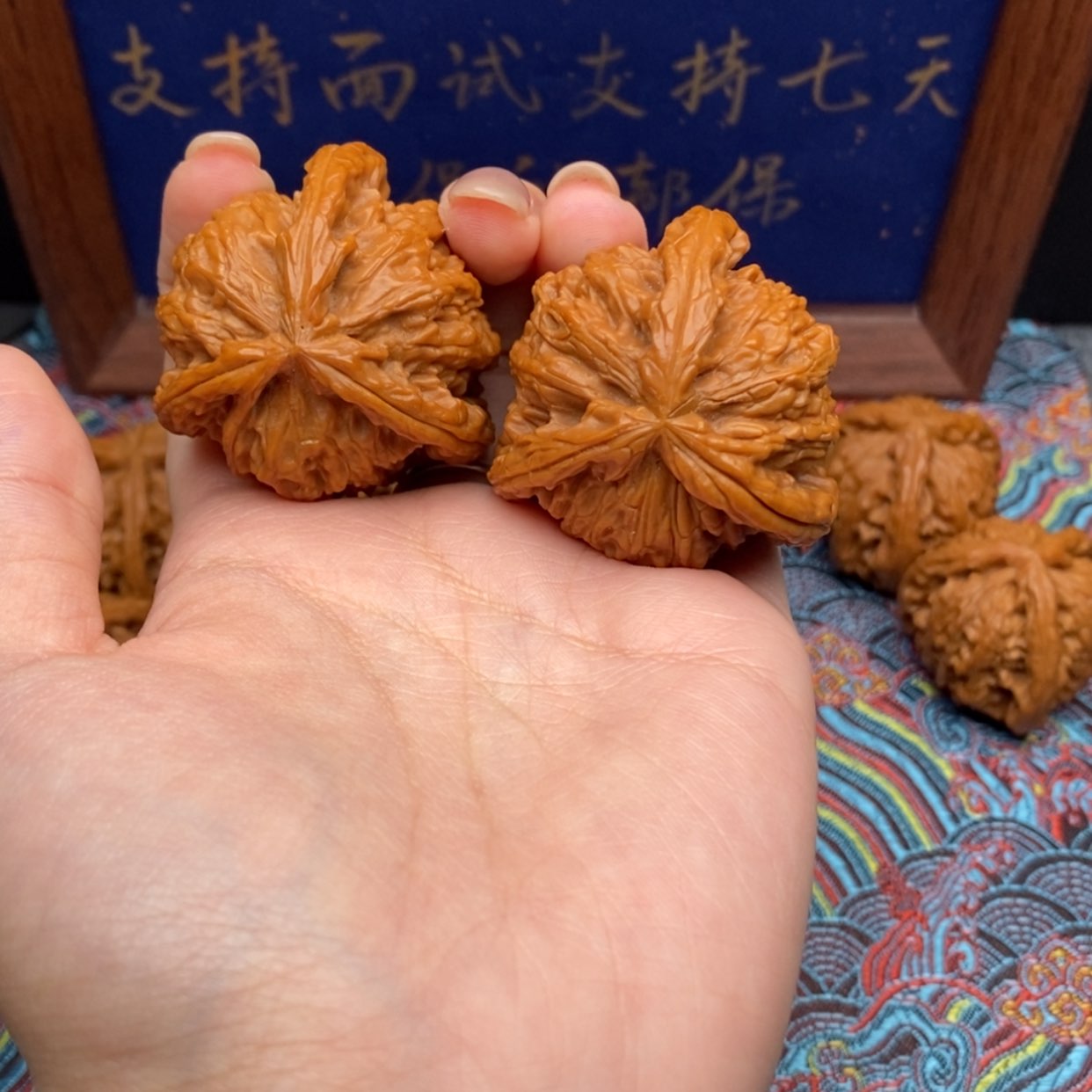 【闪购商品】讓**蕶白狮