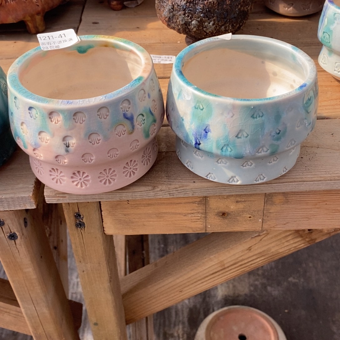 波****41号多肉盆两个组合