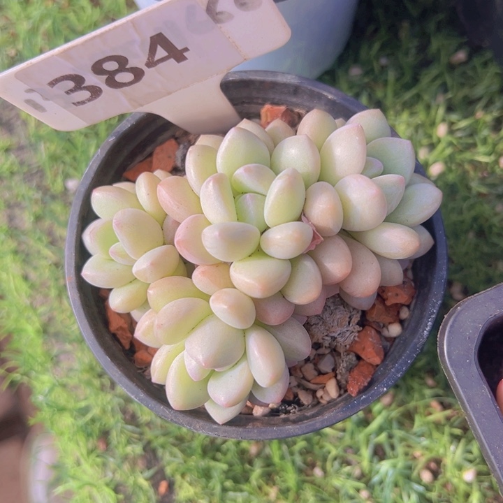 健健康康平平安安