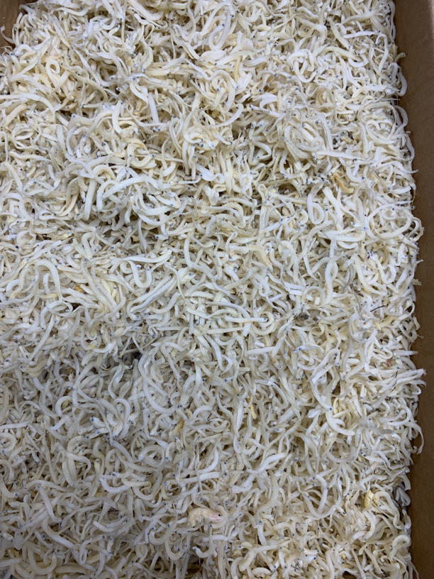 【蚝西施海味】本港银鱼干面条鱼（7.5成干）宝宝煲粥必备