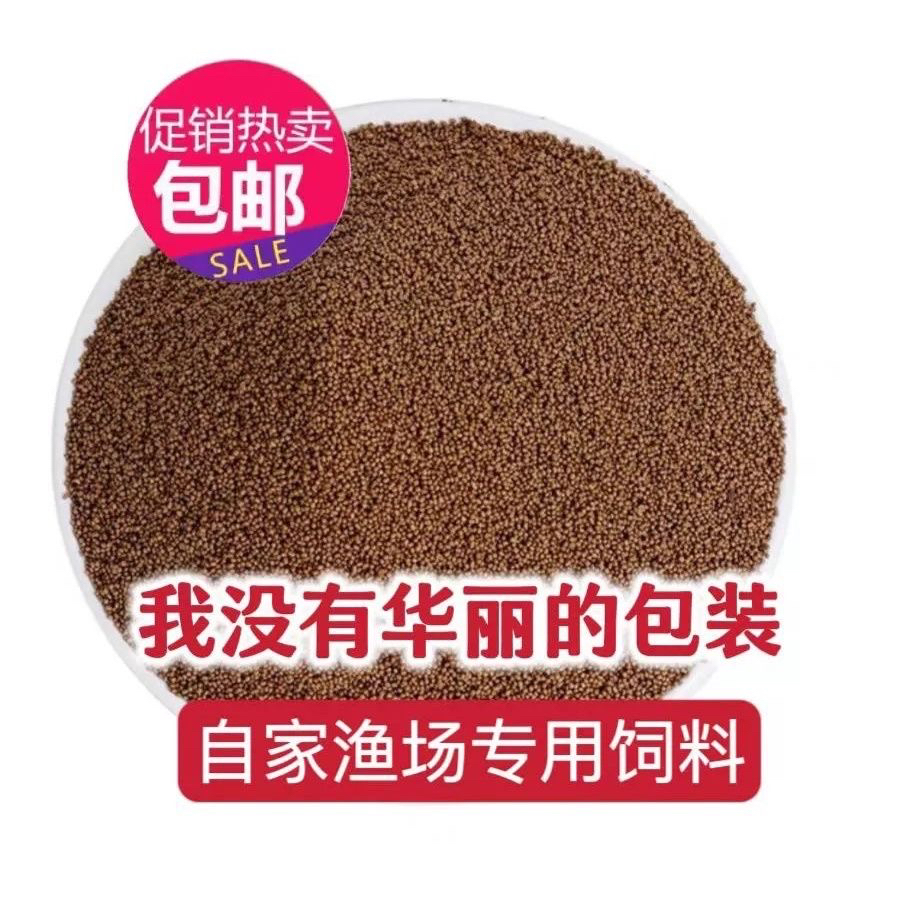 饲料高端孔雀鱼专用鱼食饲料凤尾小型鱼超高蛋白小颗粒鱼粮通用