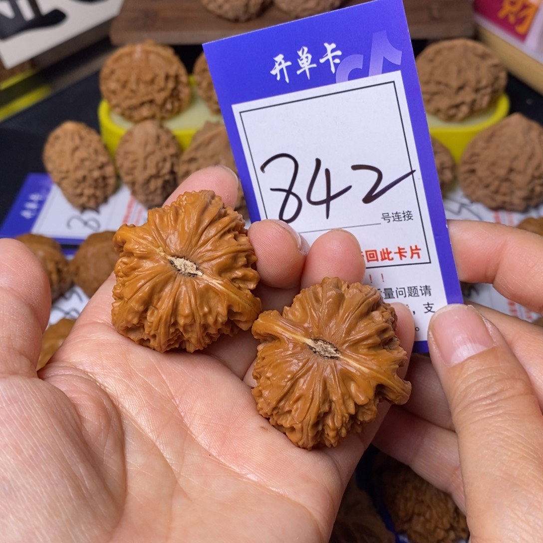 把件文玩核桃40白狮子842精修