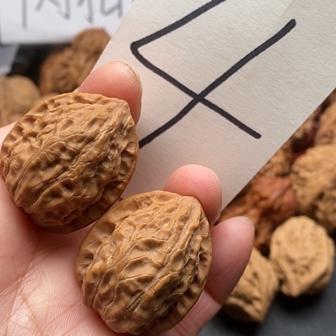 桃核吊坠30全品野生金牛