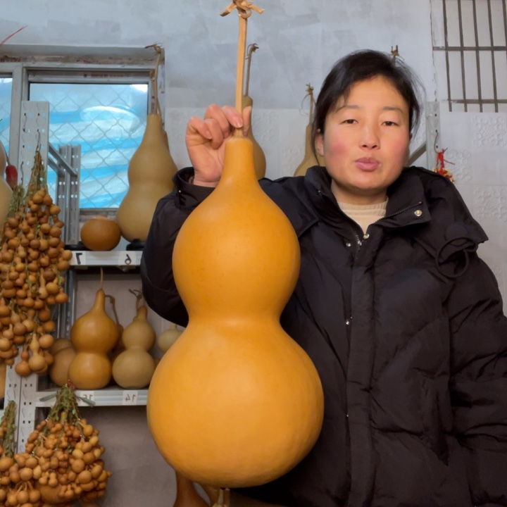 俊***千天然植物葫芦文玩