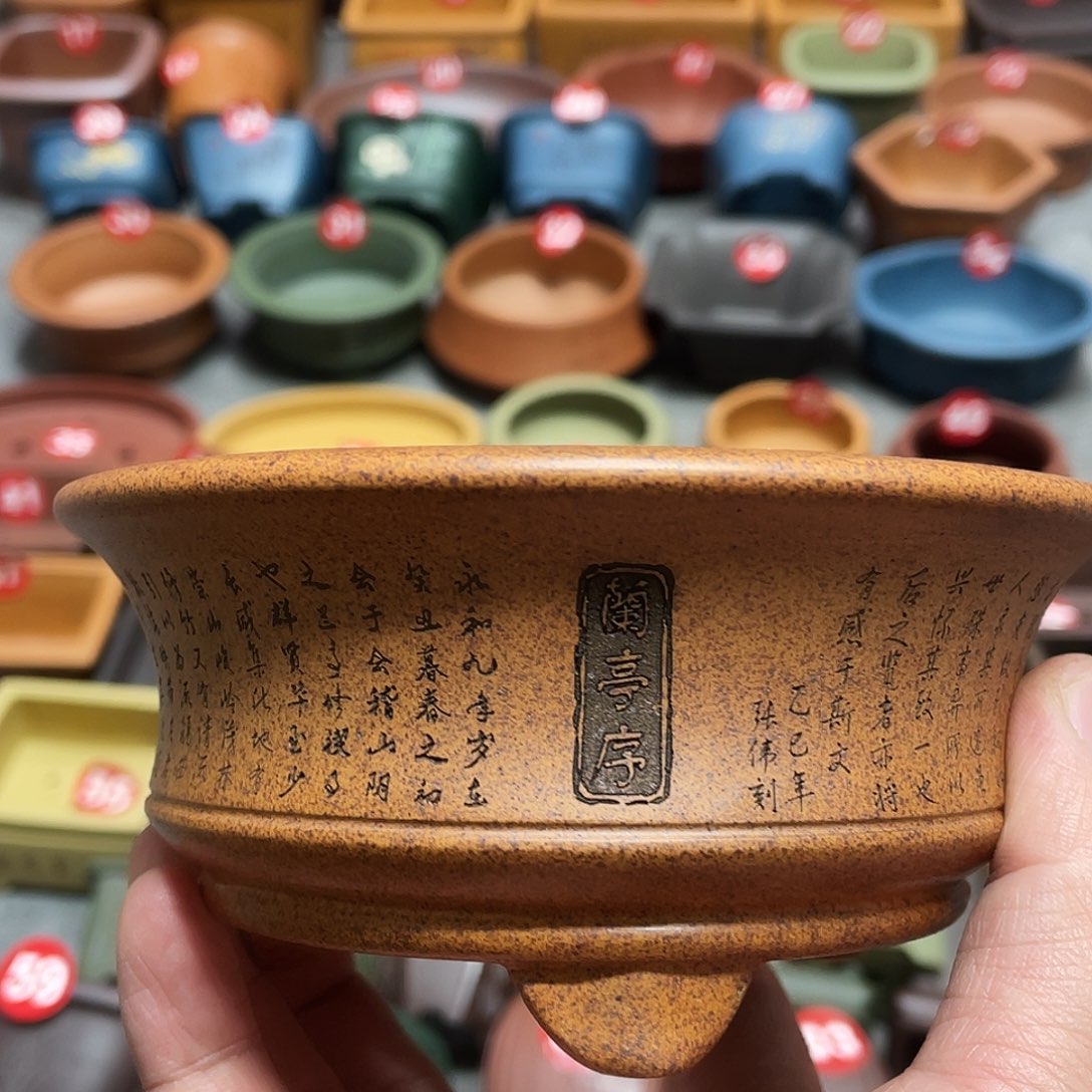 紫砂小盆11*4.5cmmmmm