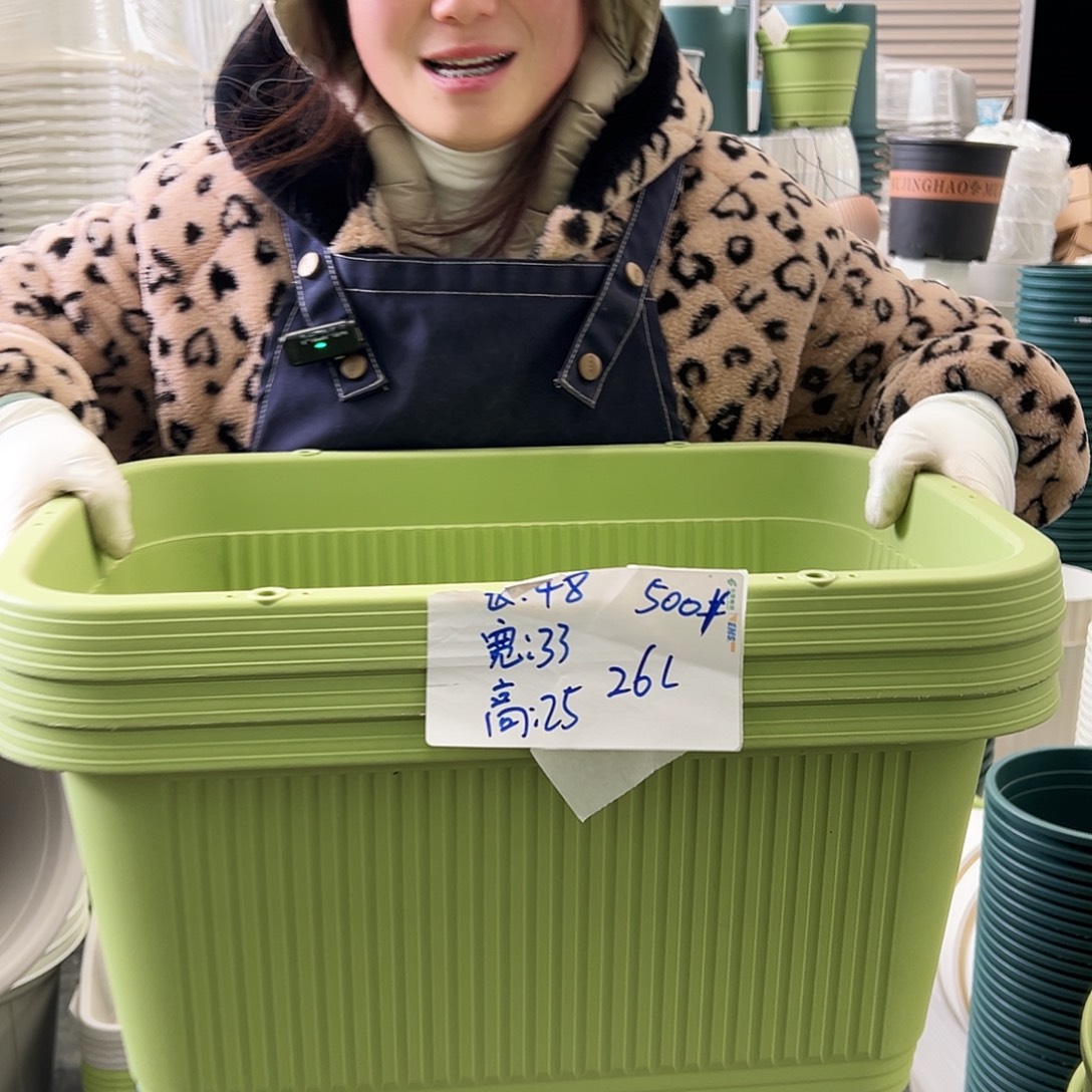 菜盆500#果绿3个无托