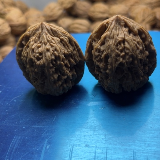 用***9核桃手串/手链1234567890