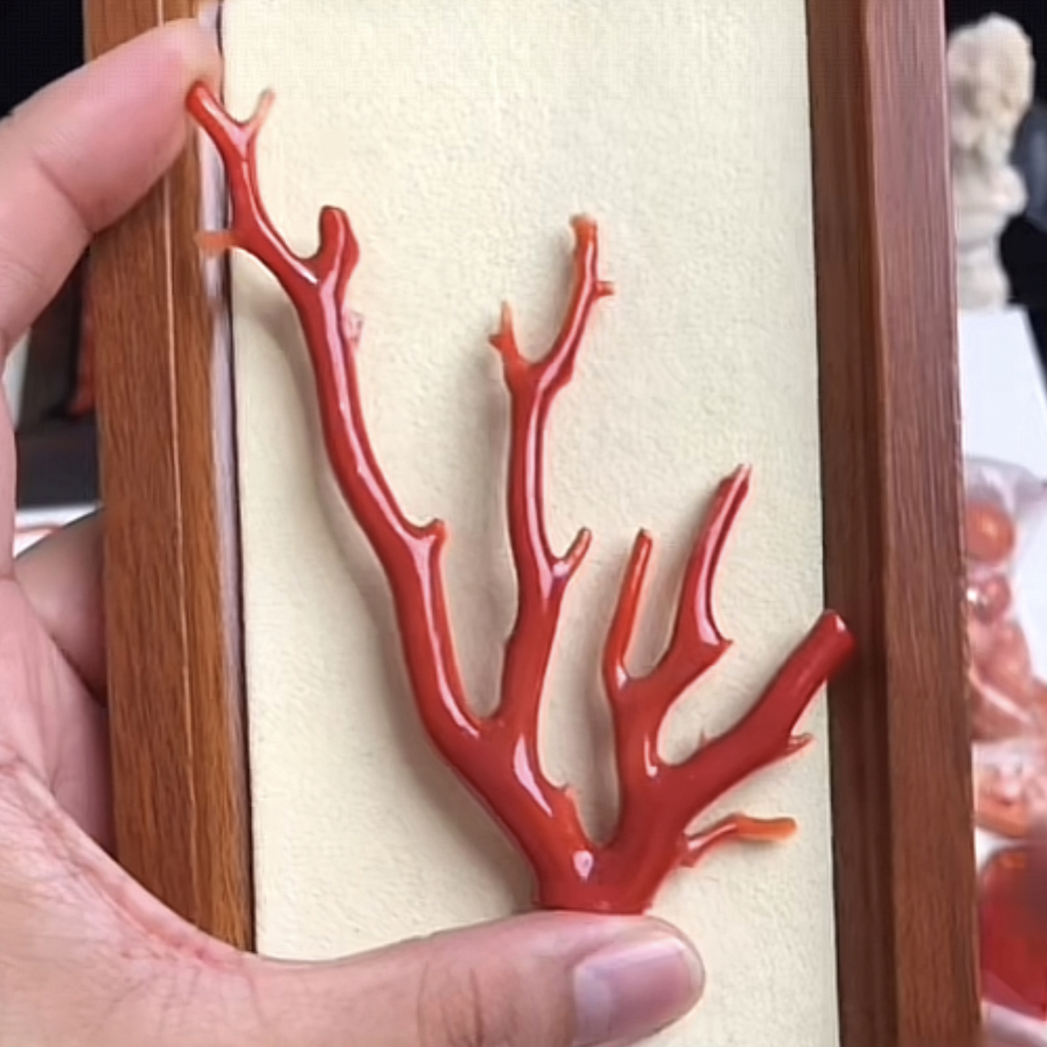 珊瑚原枝子一个-大福利