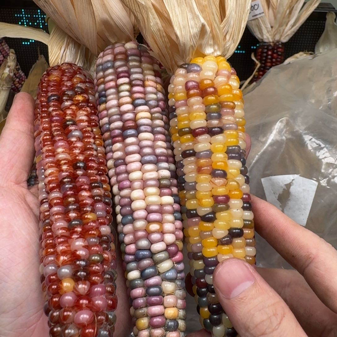 柏香籽/百香籽吊坠慧**.