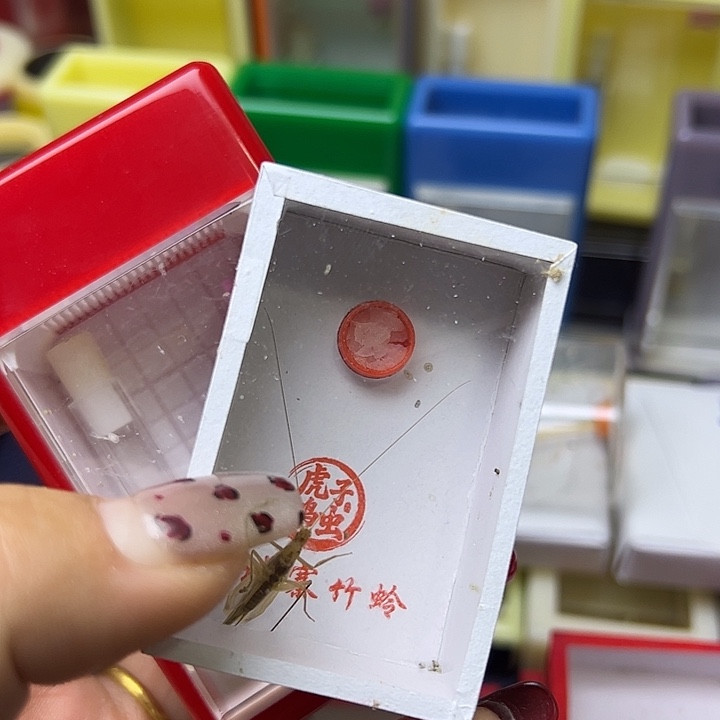 用***1蟋蟀哈更会哈更哈哈哈哈哈哈