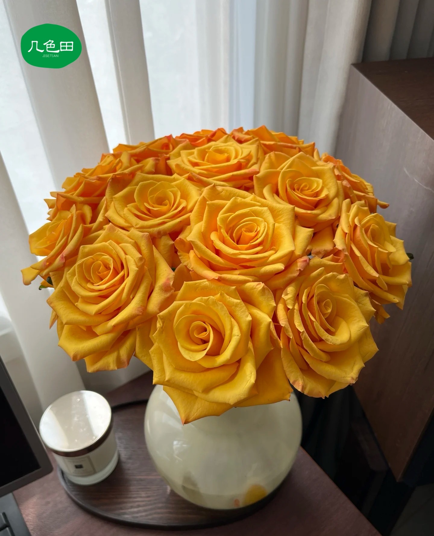 辉煌----单头玫瑰云南直发鲜花云南花插花鲜花