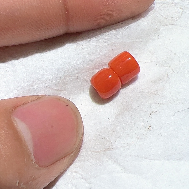 香榧木在家了一个