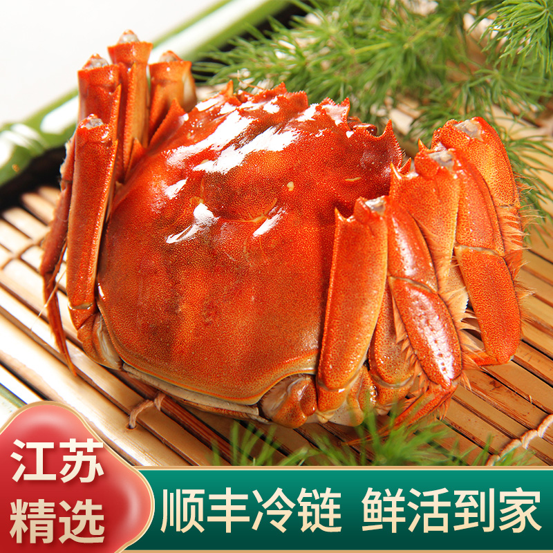 【活蟹】河蟹螃蟹顺丰包邮全母蟹1.2-1.0两15只成蟹