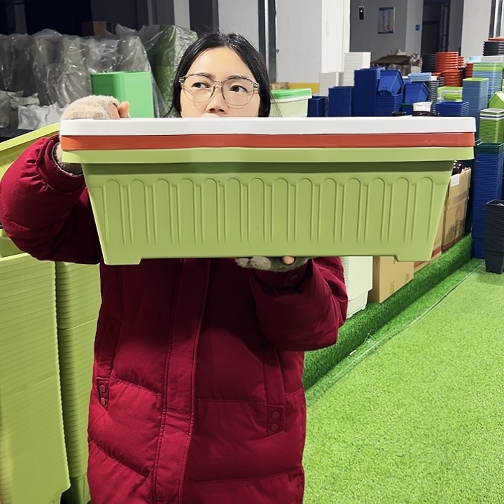 特价大菜盆长56宽25高16果绿色3只