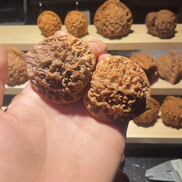 全品51+王勇大官帽