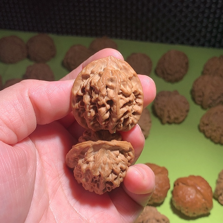 文玩核桃吊坠秦闷