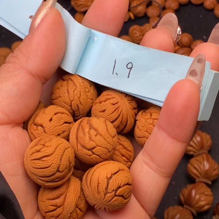 秦岭龙纹桃核14颗