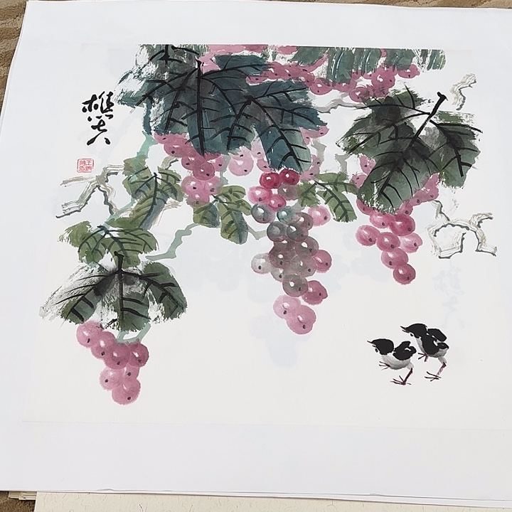 国画花鸟的翅膀和翅膀50.50