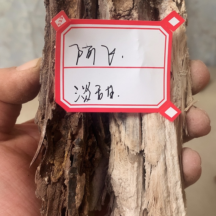 阿***籍大叶紫檀（黑酸枝木类）