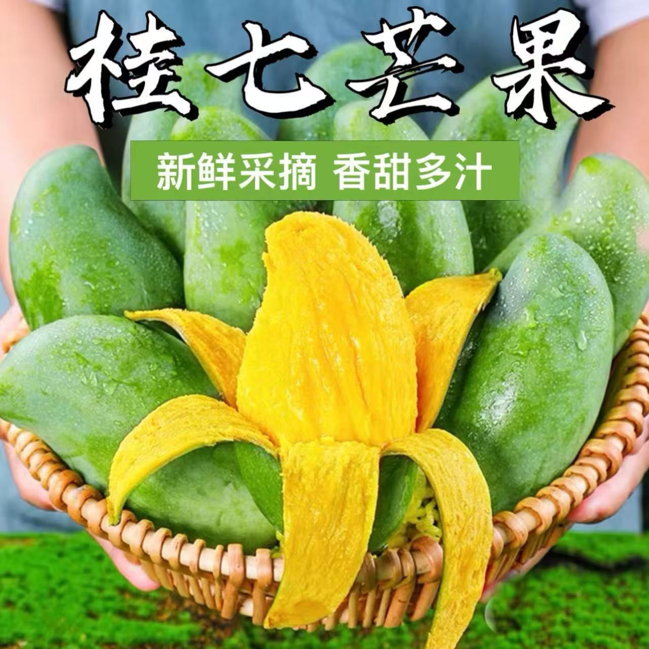 正宗广西百色桂七芒香甜多汁新鲜现摘整箱发货坏果包赔