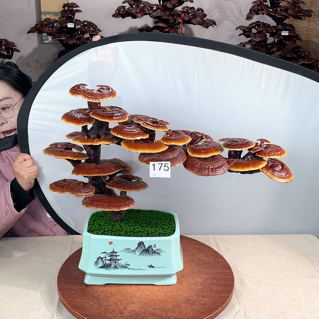 万事如意88888175