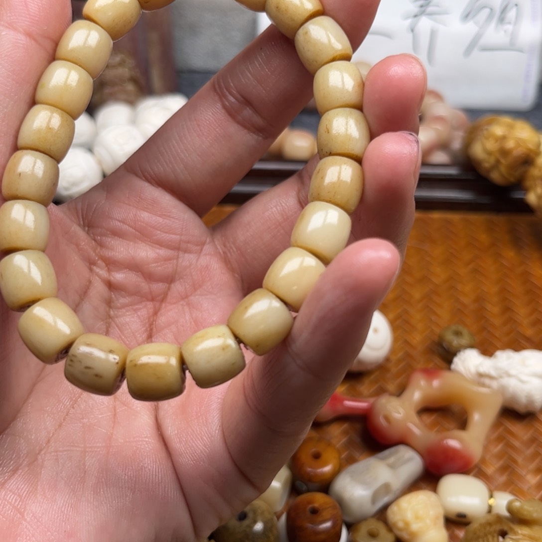 鹿骨其他人工养殖驼骨36