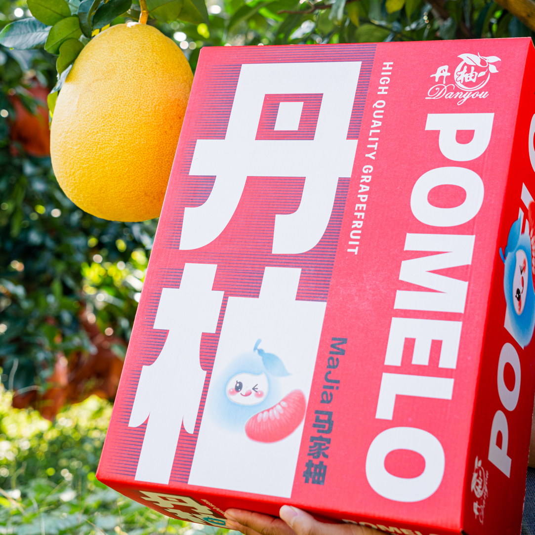 【商务礼盒装】上饶特产红心广丰马家柚子红肉蜜柚孕妇当季新鲜现摘