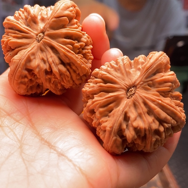把件文玩核桃虎头王43尺