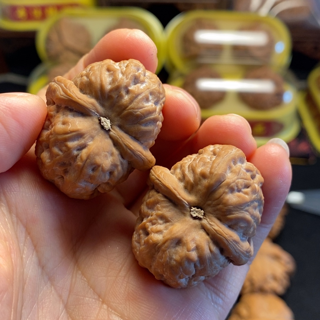 用***0桃核把件战马狮子头