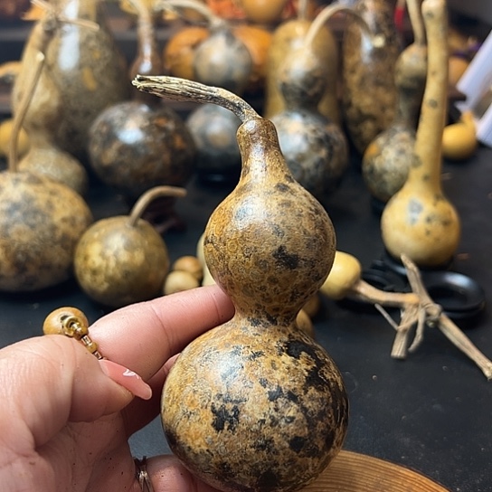 不****辰葫芦葫芦葫芦葫芦