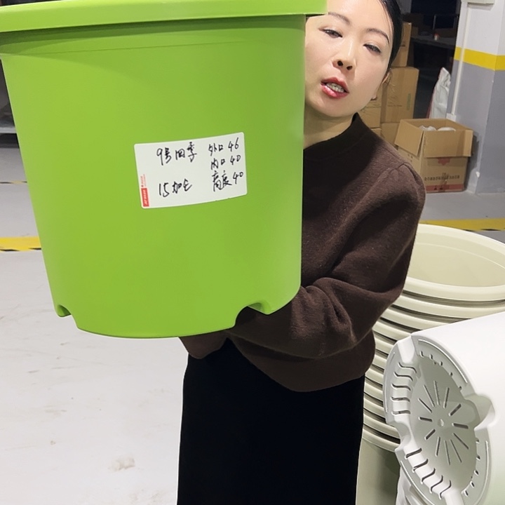 特价9号四季口46高40果绿2只无托