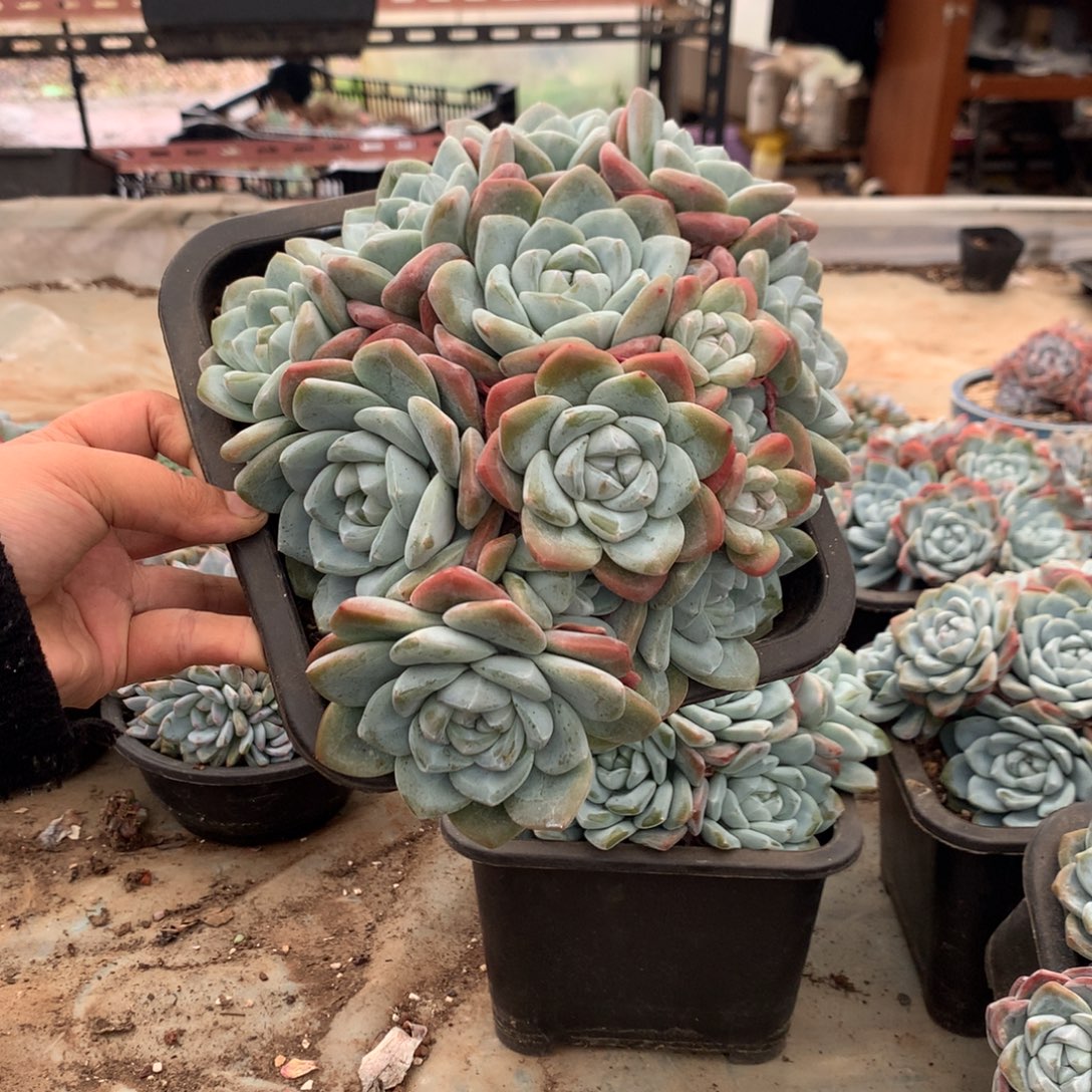 时***水哈哈哈哈哈哈哈哈哈哈哈哈