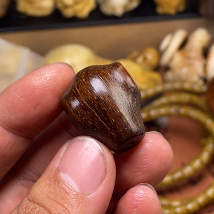 驼骨其他人工养殖