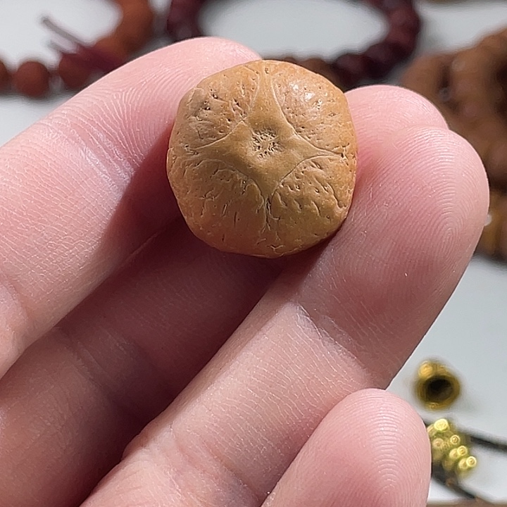 摄***陶凤眼菩提吊坠尼泊尔小凤眼