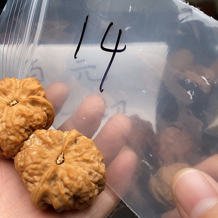 吊坠文玩核桃飒W39696496694974946