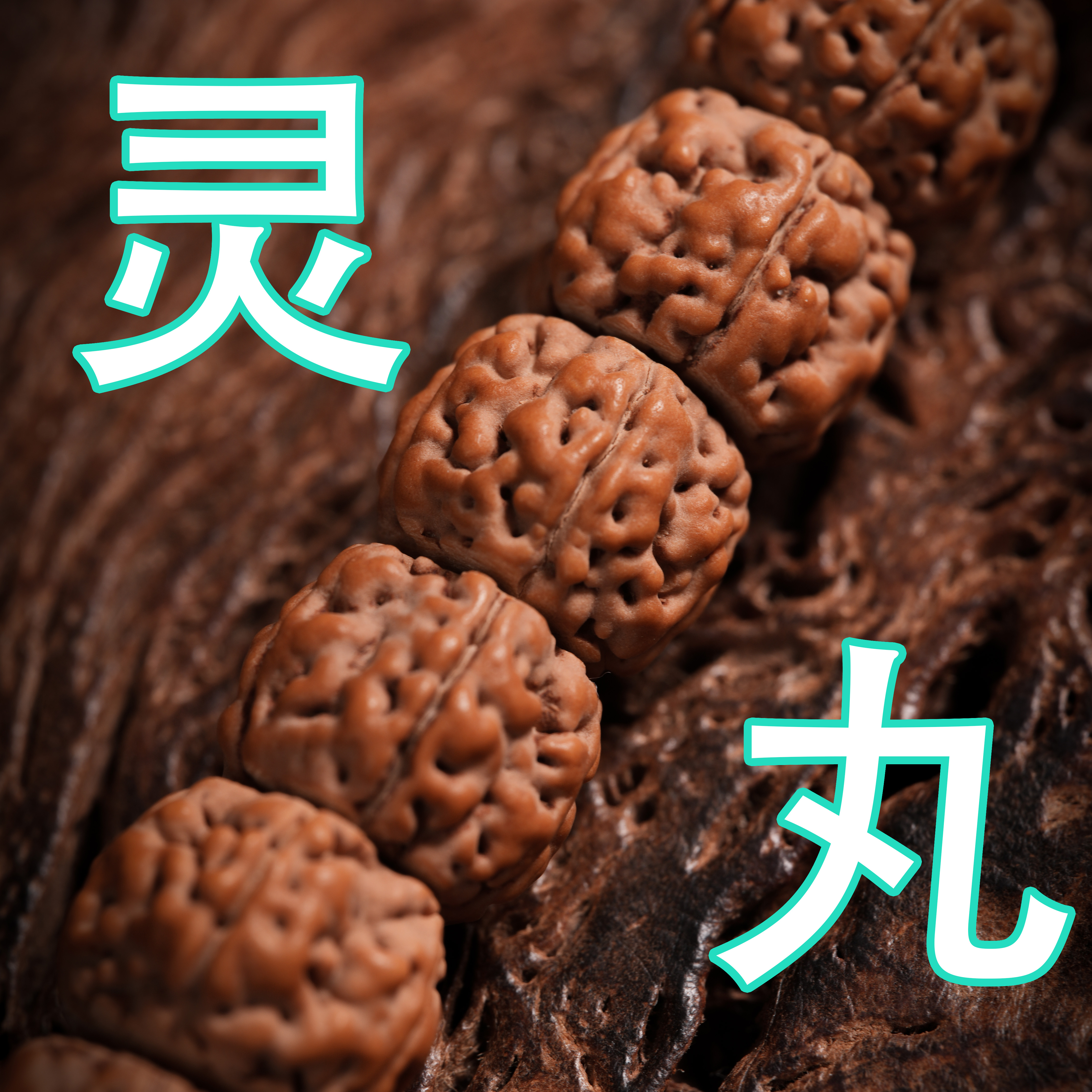 珠玩大师灵丸小金刚菩提文玩手串