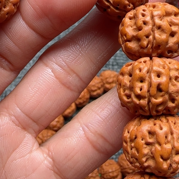 橄榄核手串橄榄菜等经济作物的