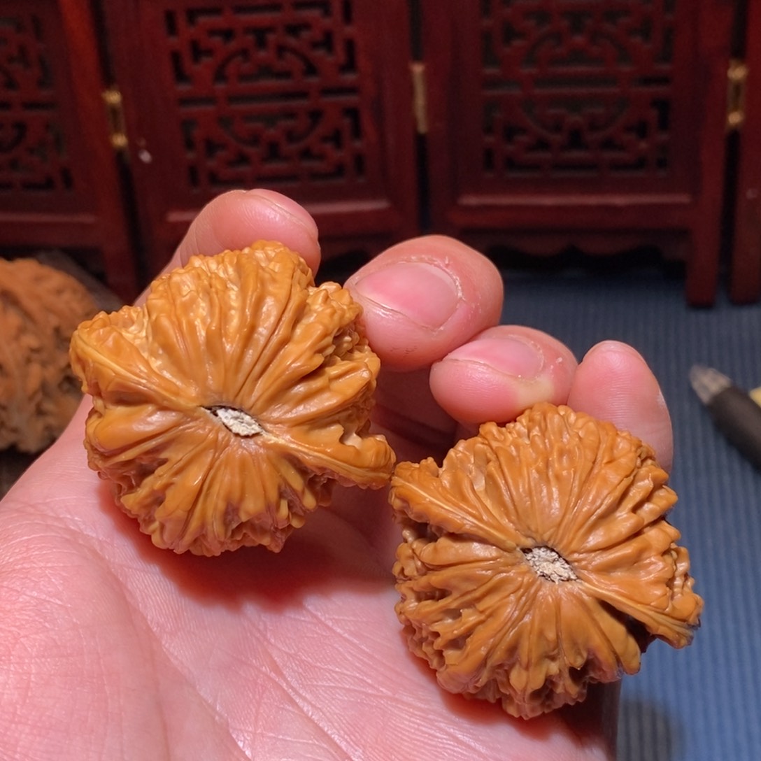 向****.40尺 磨盘磨盘红皮推荐