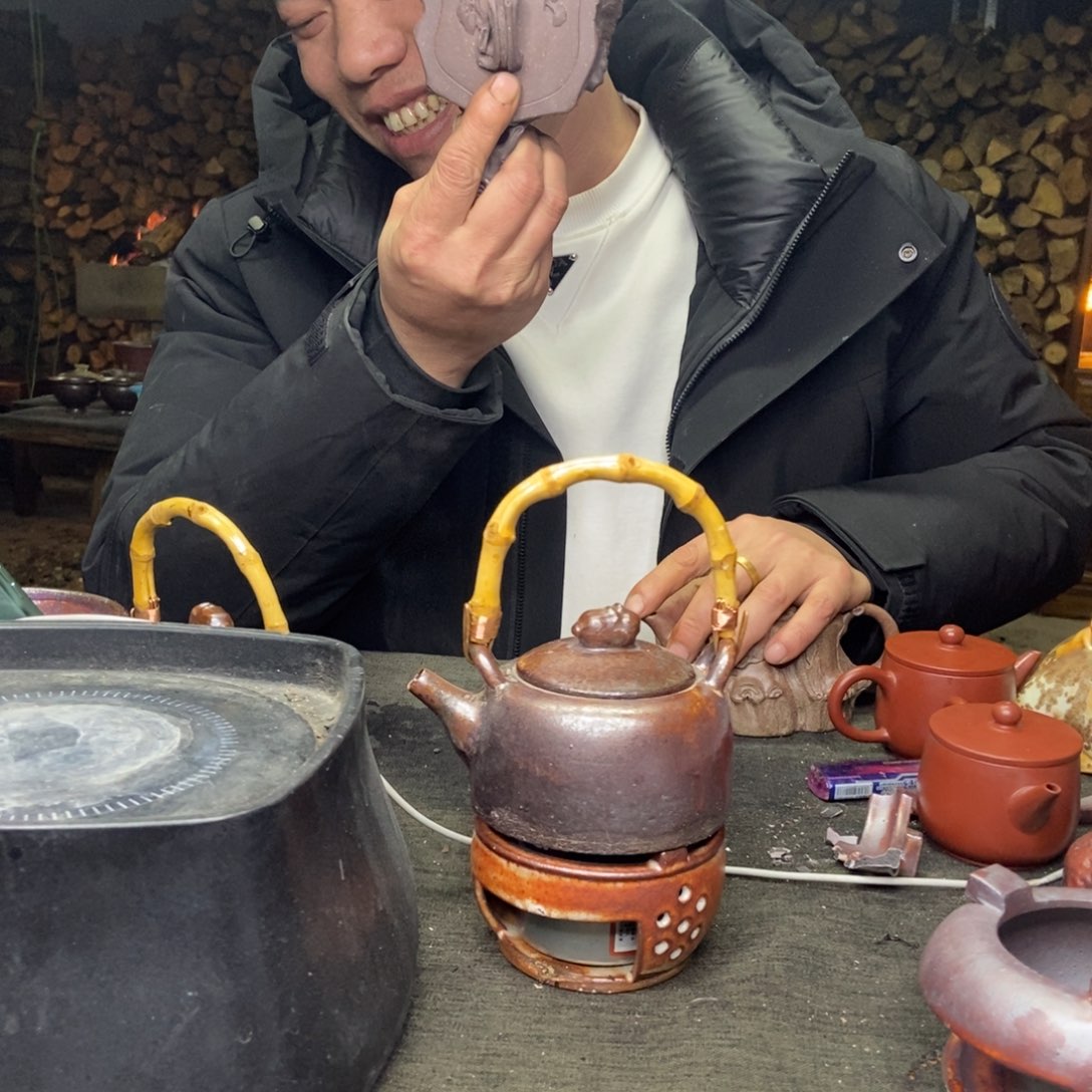 紫砂手工纯手工老树状紫砂壶