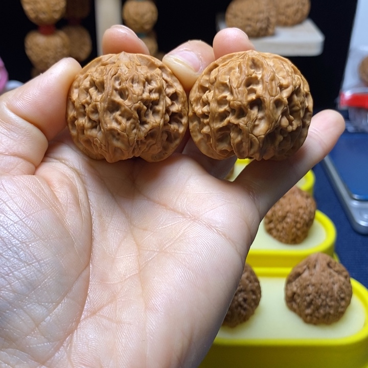 木质39精配苹果园 8号