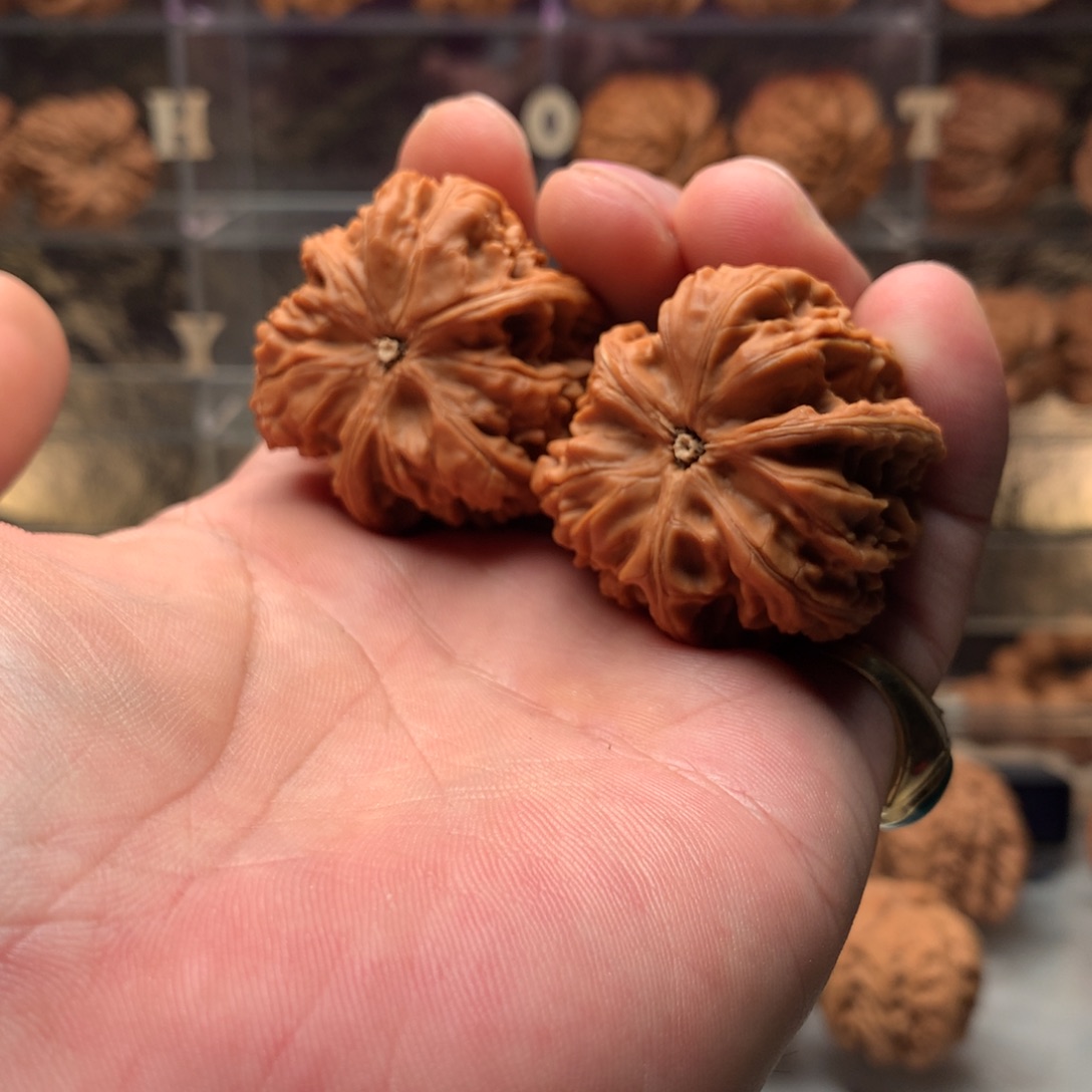 有***理吊坠文玩核桃御龙粗筋666888