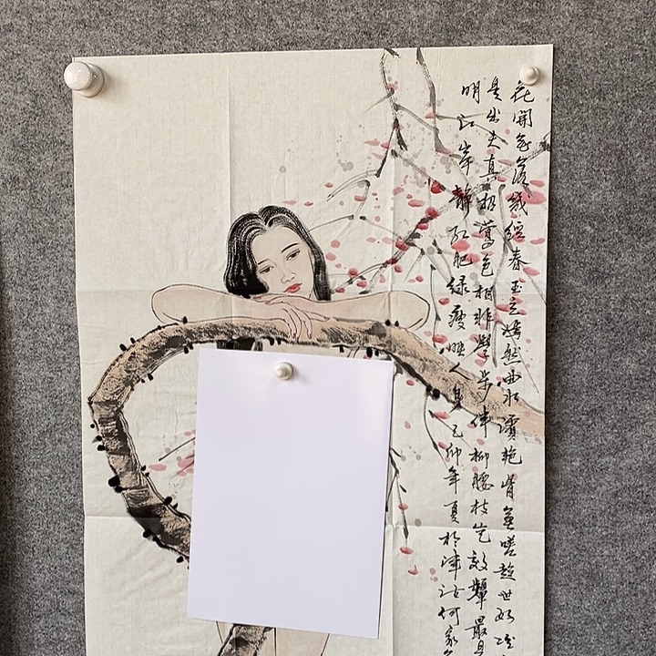 t***6竖款Hjy 六平尺画册