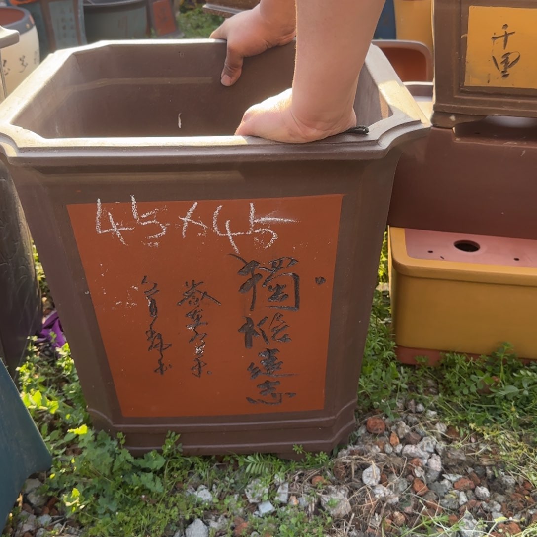 紫砂花盆盆景盆栽瑕疵