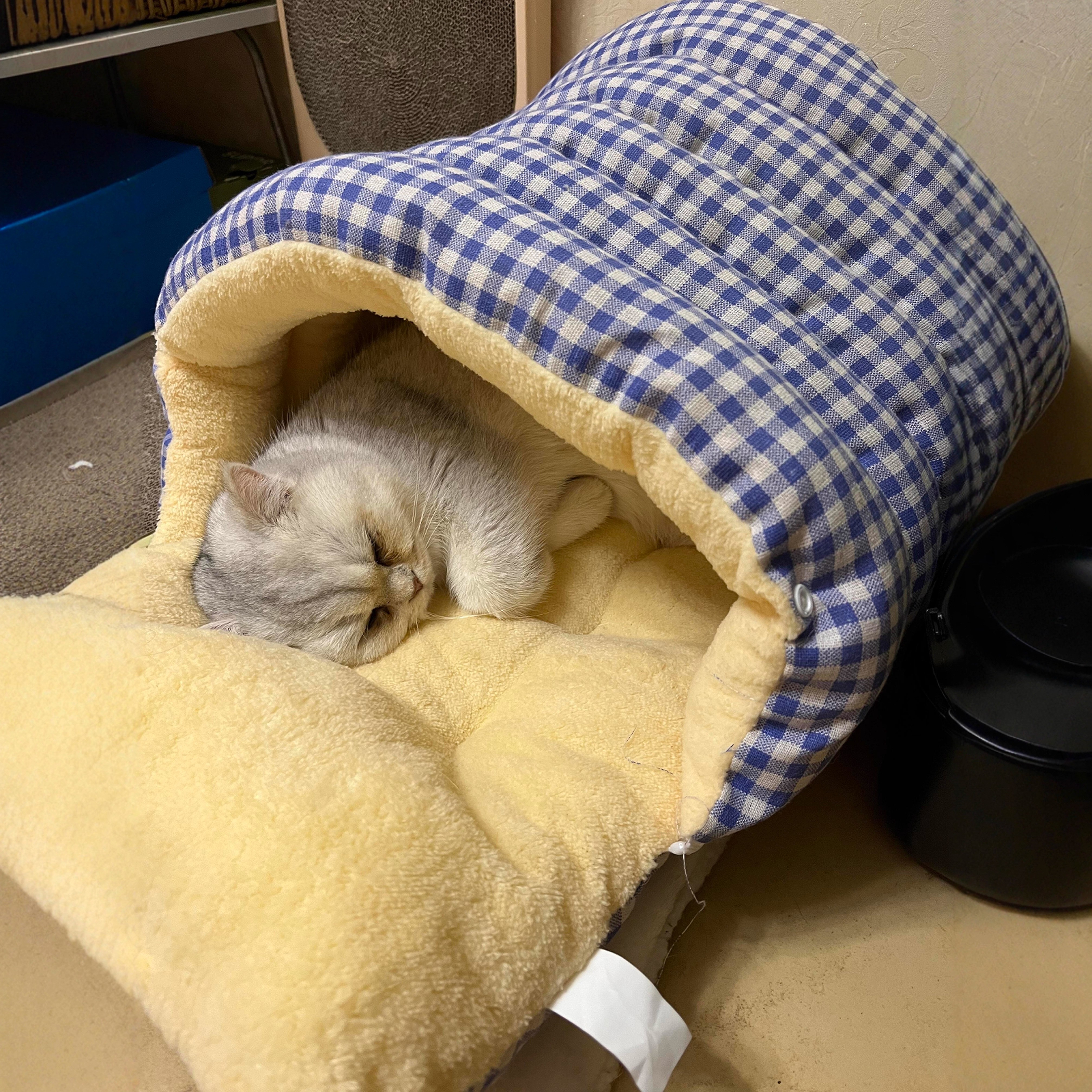 猫窝冬季保暖冬天狗窝加厚猫咪宠物垫子大型犬小狗沙发泰迪txz