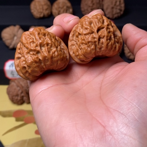 文玩核桃蛤膜头尺40