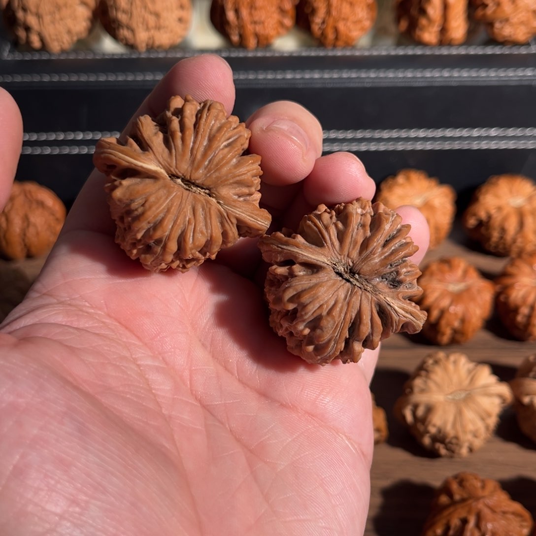 手串/手链核桃N****e41全品三角楼