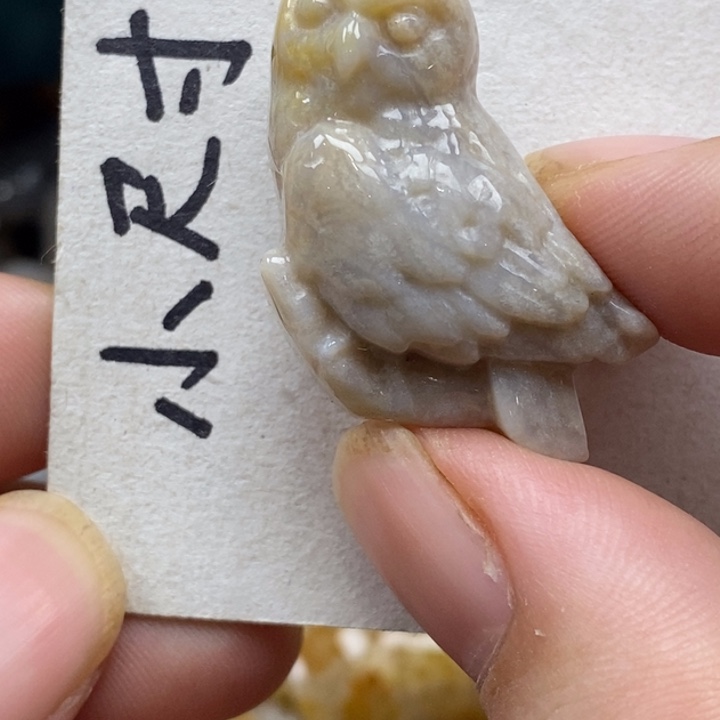 硅化珊瑚（珊瑚玉）未镶嵌颈饰